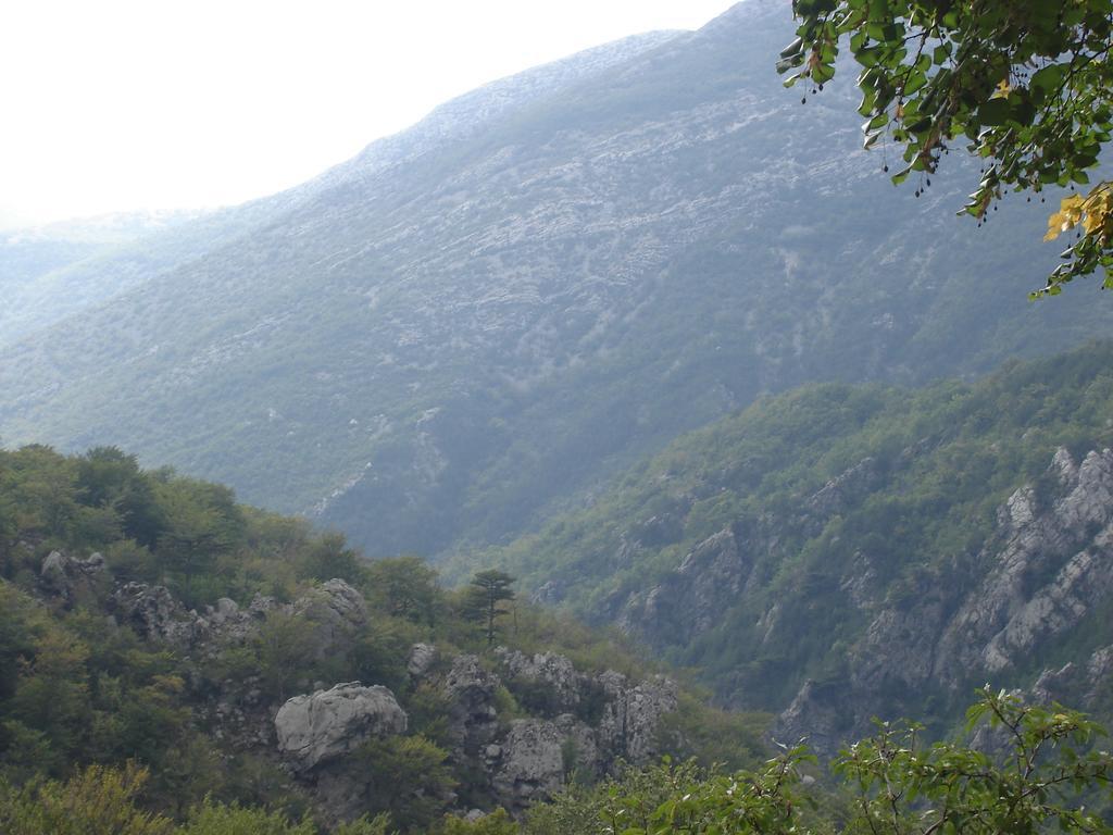 Holiday Home Paklenica Starigrad Paklenica Værelse billede