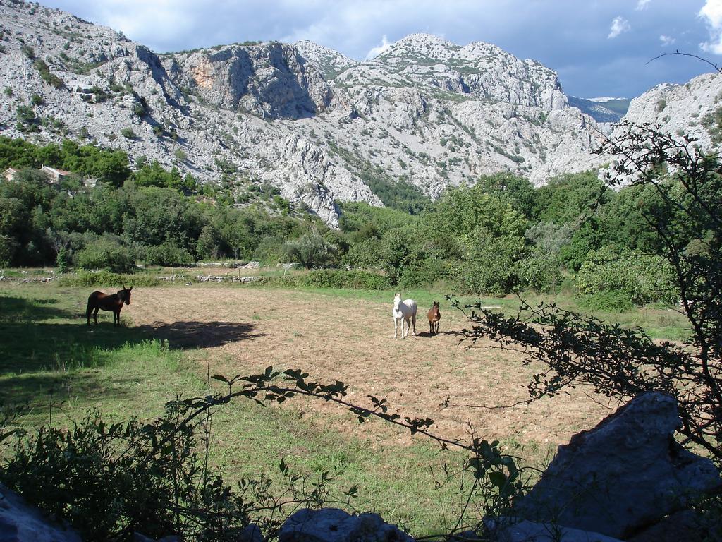 Holiday Home Paklenica Starigrad Paklenica Værelse billede