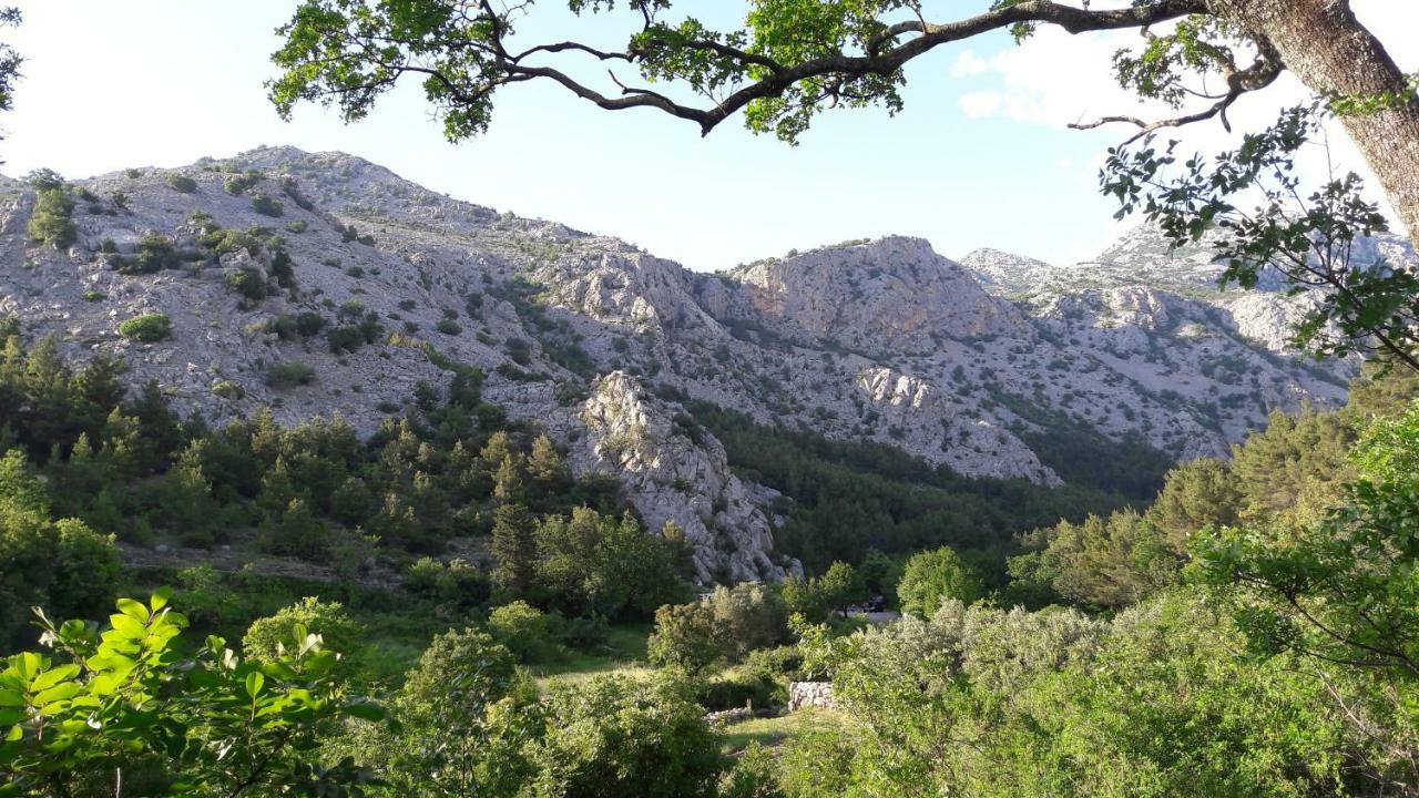 Holiday Home Paklenica Starigrad Paklenica Eksteriør billede